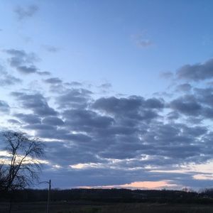 Meet your Posher, Vivian